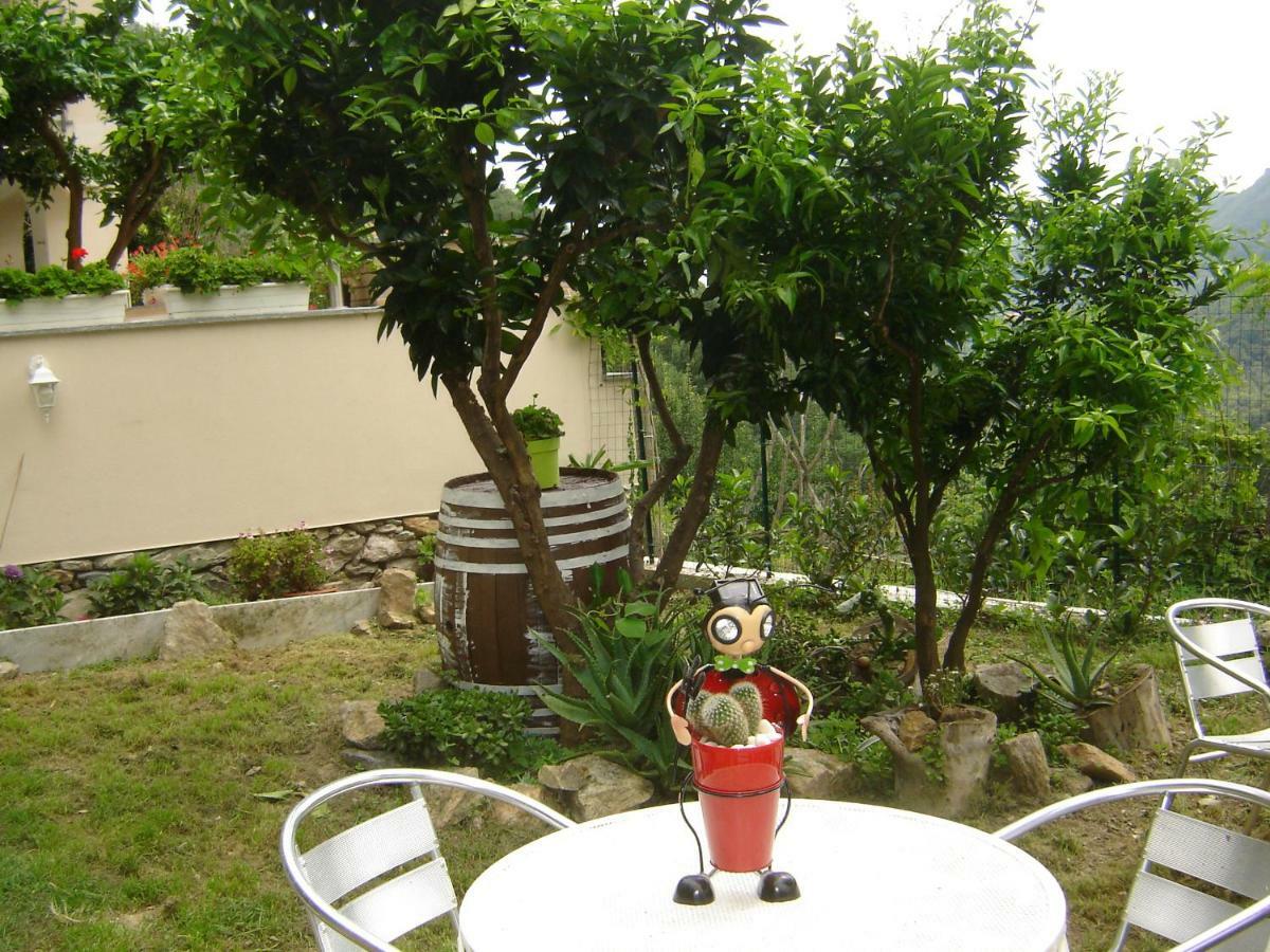 נולי La Dolce Vita B&B מראה חיצוני תמונה